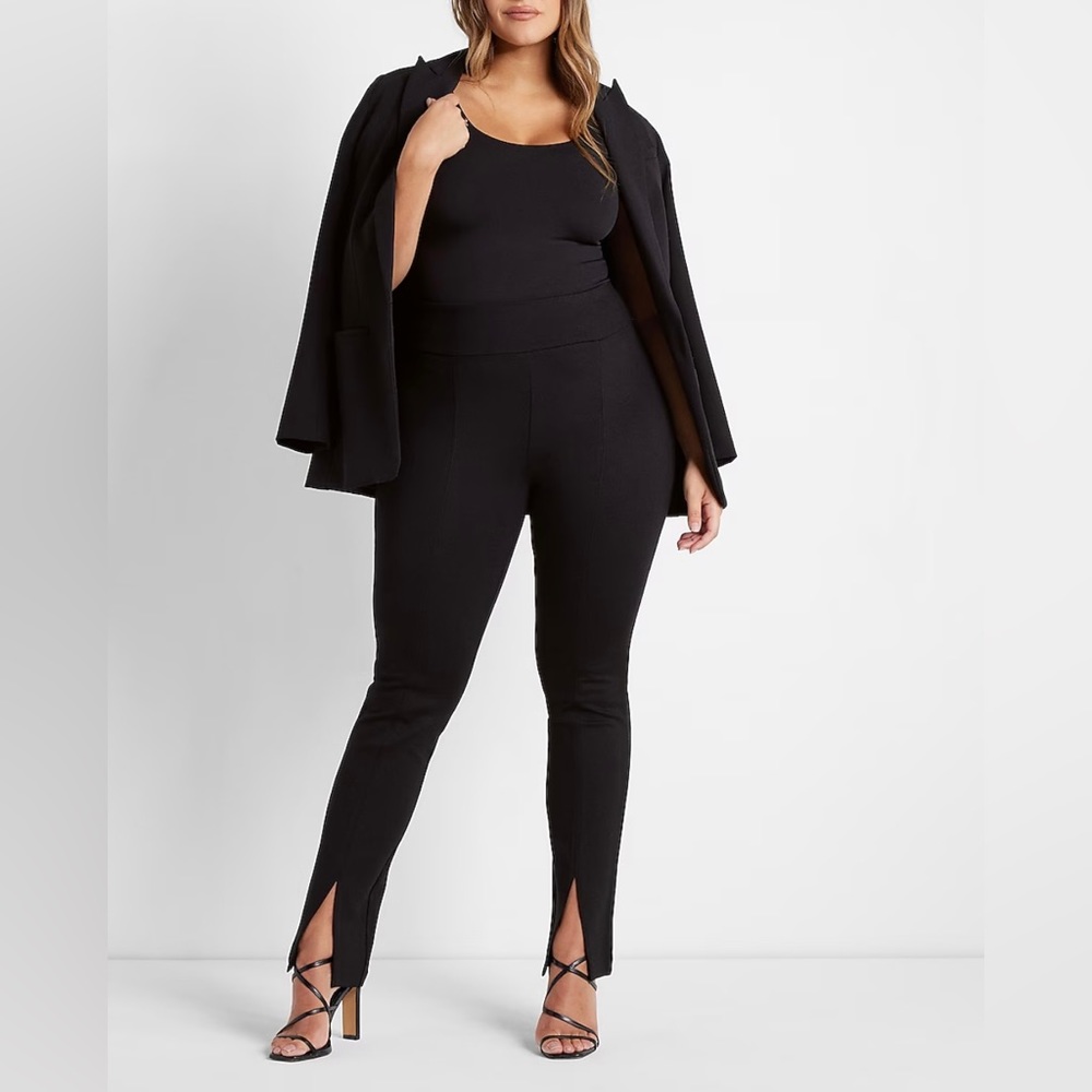 NWT Express Pants